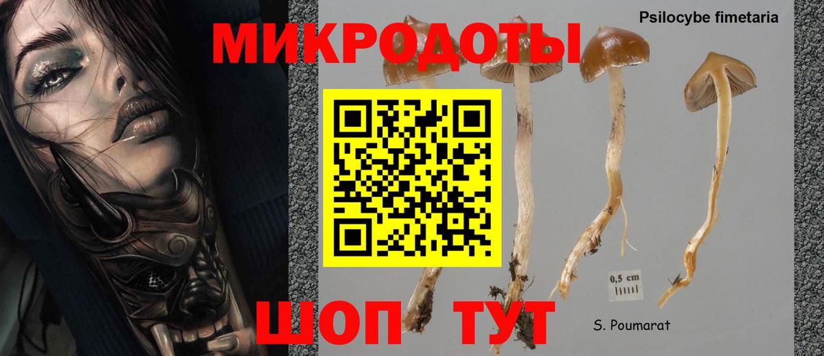 Псилоцибиновые грибы ЛСД Вичуга